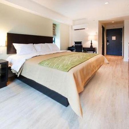 Comfort Inn & Suites - Kew Gardens Near La Guardia Airport New York Eksteriør billede