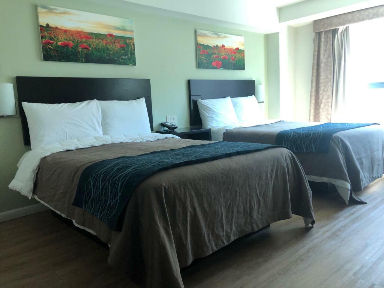 Comfort Inn & Suites - Kew Gardens Near La Guardia Airport New York Eksteriør billede