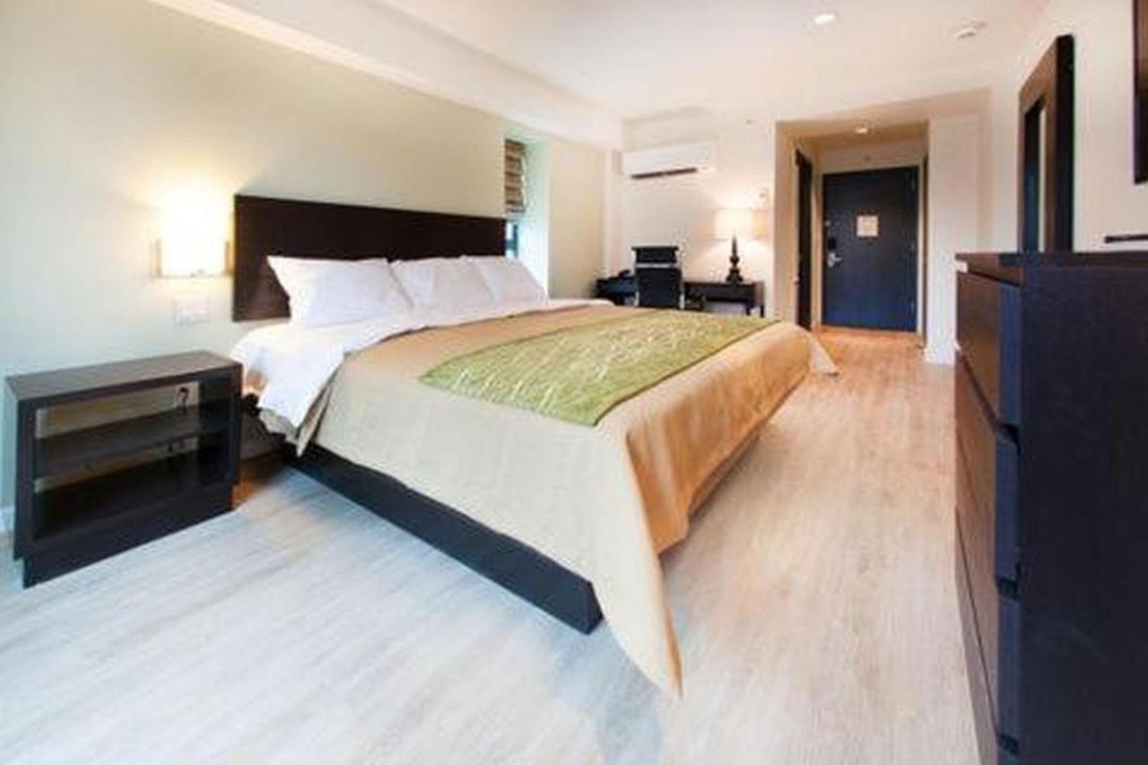 Comfort Inn & Suites - Kew Gardens Near La Guardia Airport New York Eksteriør billede